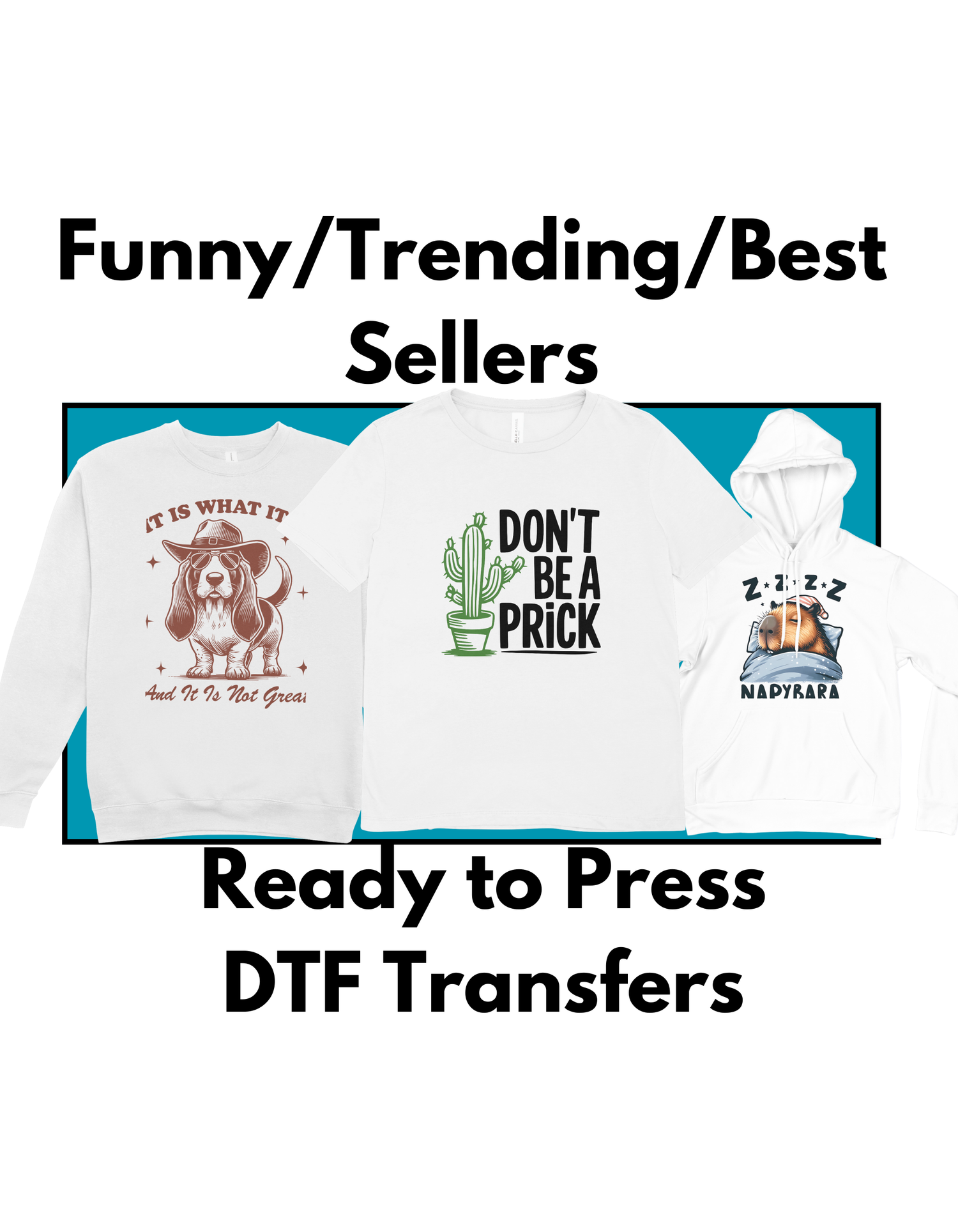 Three funny and trending DTF transfers featuring a dog saying "It Is What It Is," a cactus with "Don't Be a Prick," and a sleepy dog "Napybara" design.