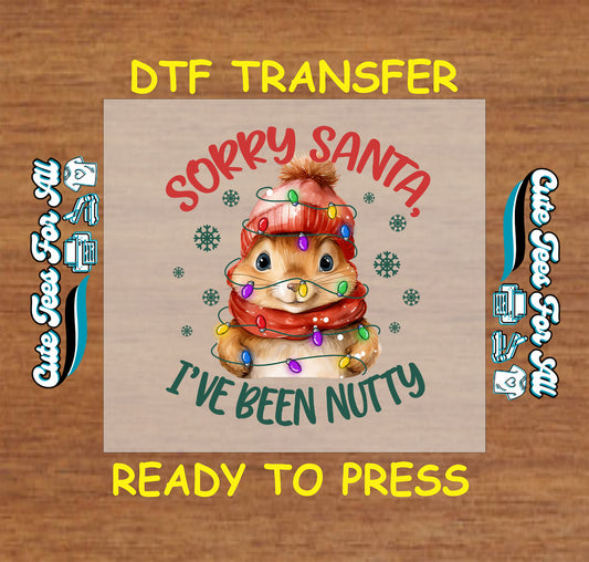 Funny Christmas ready to press dtf transfer with squirrel in lights and “Sorry Santa I’ve Been Nutty” text