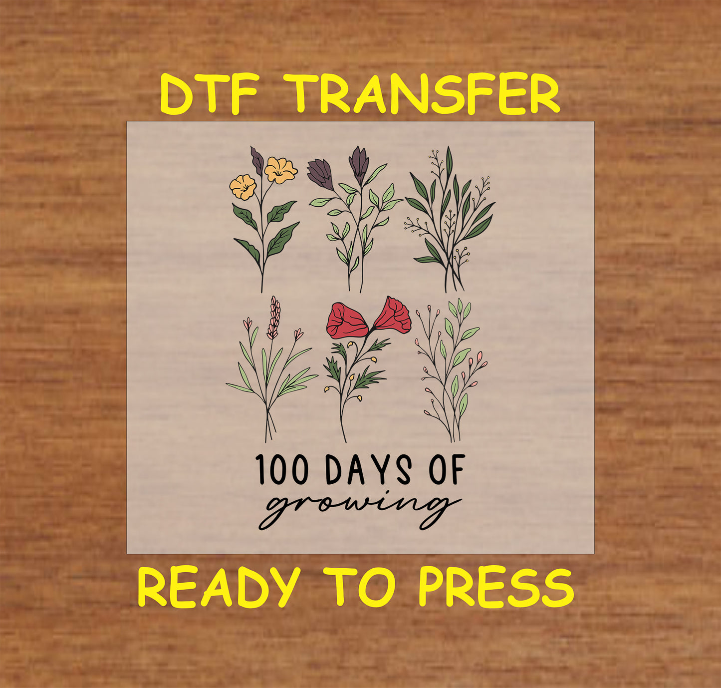 "100 Days of Growing DTF Transfer with a botanical floral design, ready for heat press application, perfect for teachers."