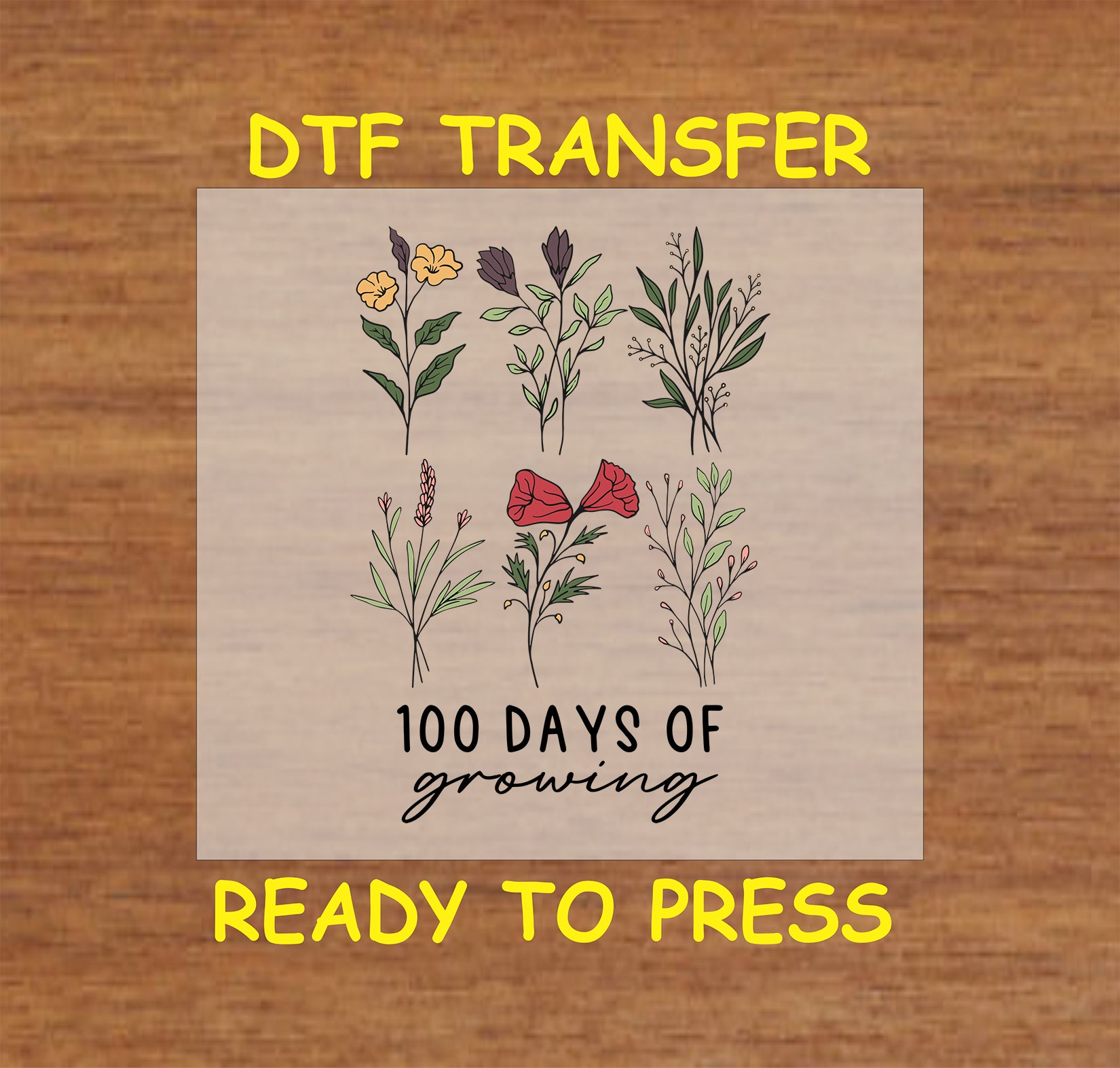 "100 Days of Growing DTF Transfer with a botanical floral design, ready for heat press application, perfect for teachers."