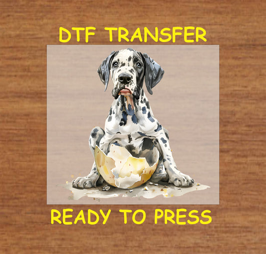 Great Dane puppy sitting in a cracked egg Easter DTF transfer.