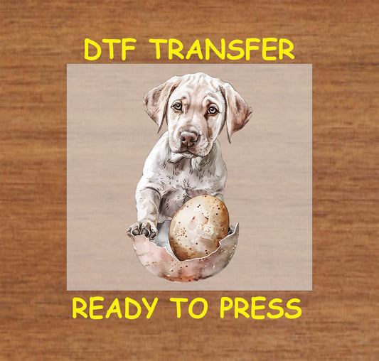 Labrador puppy emerging from a cracked egg Easter DTF transfer.