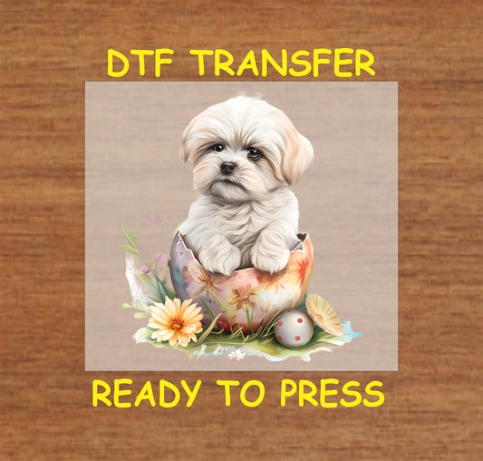 Shih Tzu puppy sitting in a decorated Easter egg with flowers.