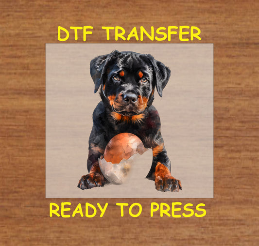 Rottweiler puppy emerging from a cracked Easter egg.