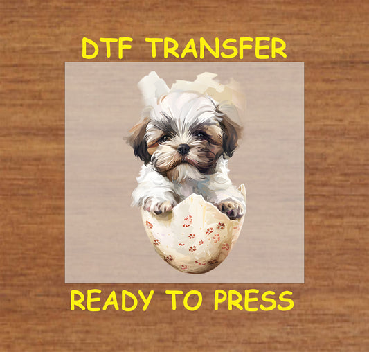 Shih Tzu puppy emerging from a cracked Easter egg.