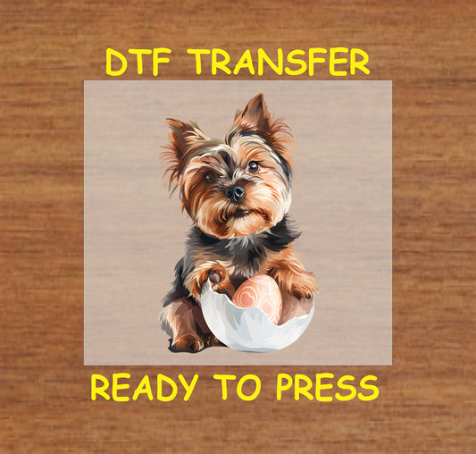 Yorkshire Terrier puppy sitting in a cracked Easter egg.