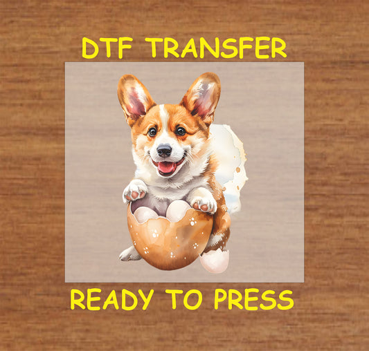 Corgi puppy sitting in a cracked Easter egg.