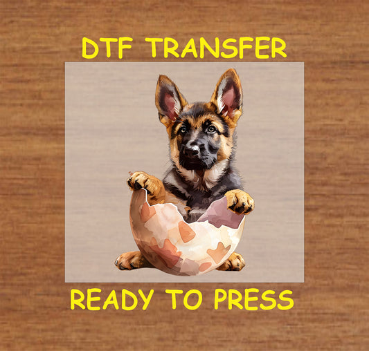 German Shepherd puppy sitting in a cracked Easter egg.