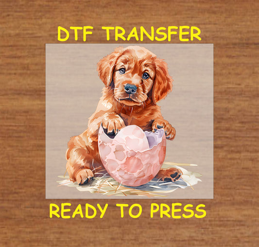 Golden Retriever puppy sitting in a cracked Easter egg.