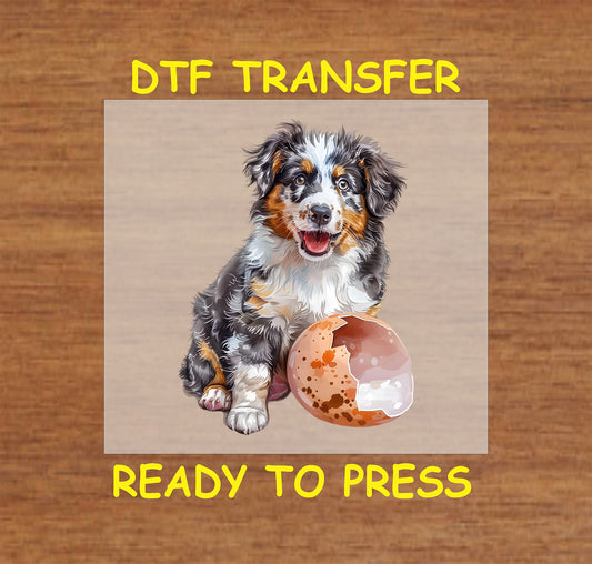 Australian Shepherd puppy sitting next to a cracked Easter egg.