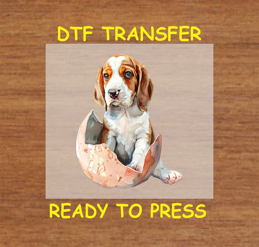 Beagle puppy sitting inside a cracked Easter egg.