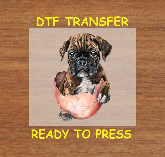 Boxer puppy sitting inside a cracked Easter egg.