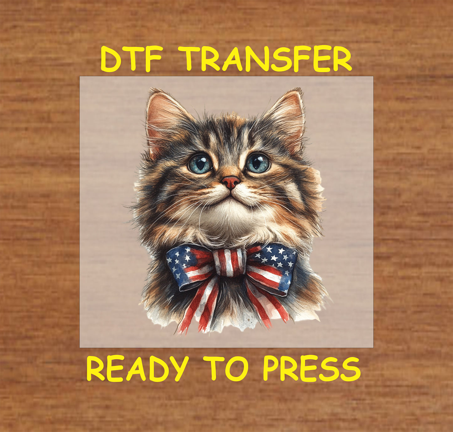 Furry cat wearing a stars and stripes bow, perfect for Fourth of July celebrations.