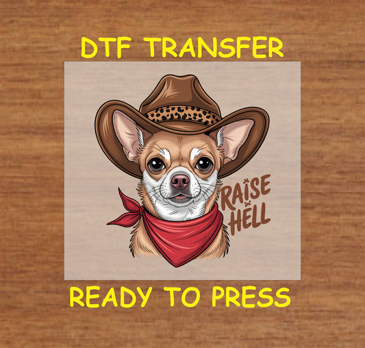 Western Chihuahua DTF transfer featuring a cowboy hat, red bandana, and "Raise Hell" text.