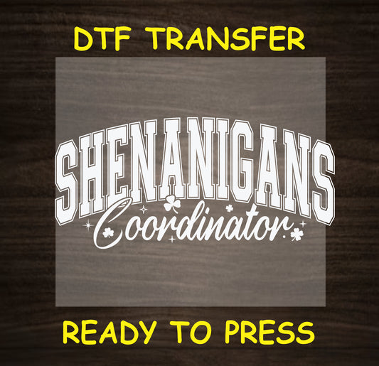 "Shenanigans Coordinator" in white with shamrocks, perfect for St. Patrick's Day DTF transfer.