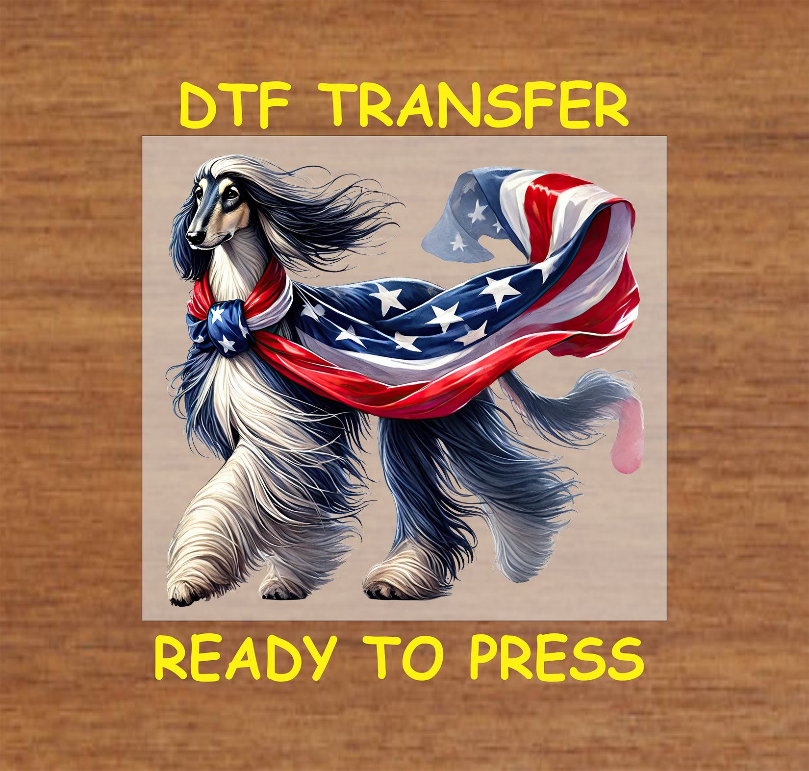 Afghan Hound wearing a flowing American flag scarf for 4th of July.