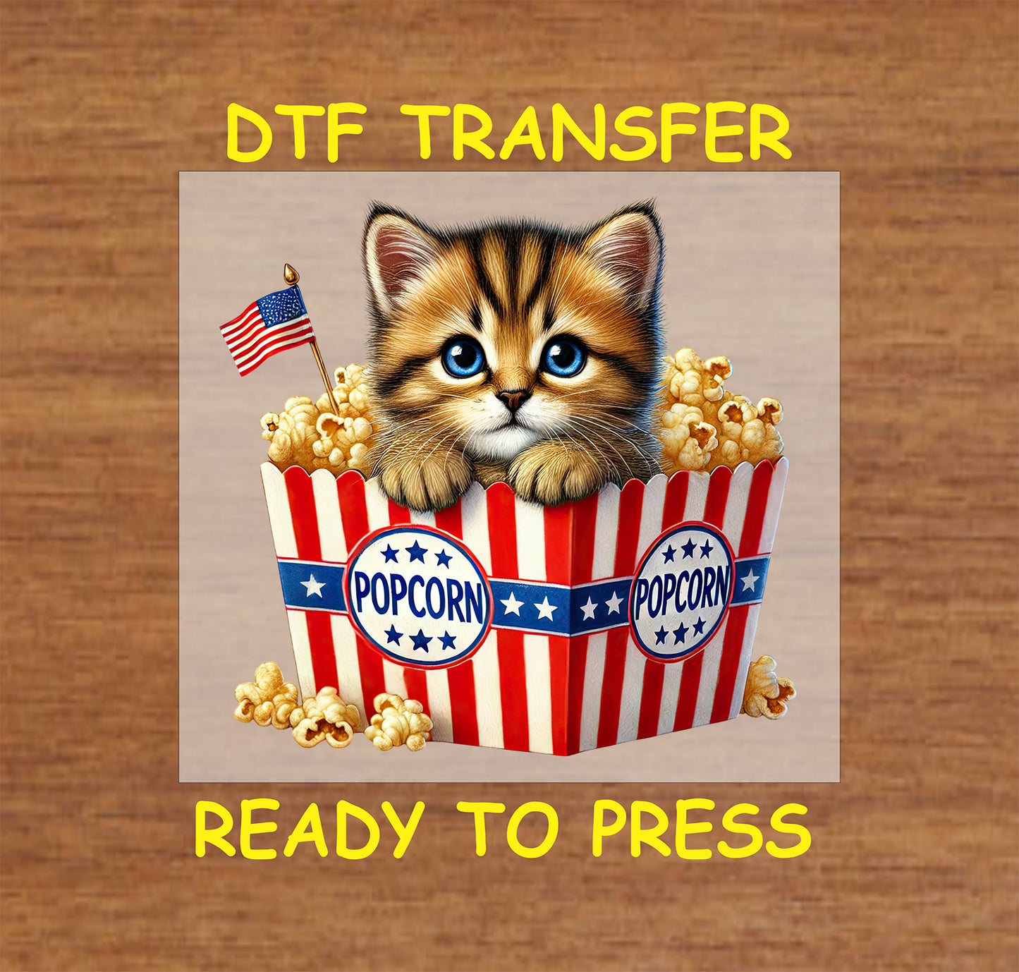 Kitten in red white blue popcorn box with American flag DTF transfer.