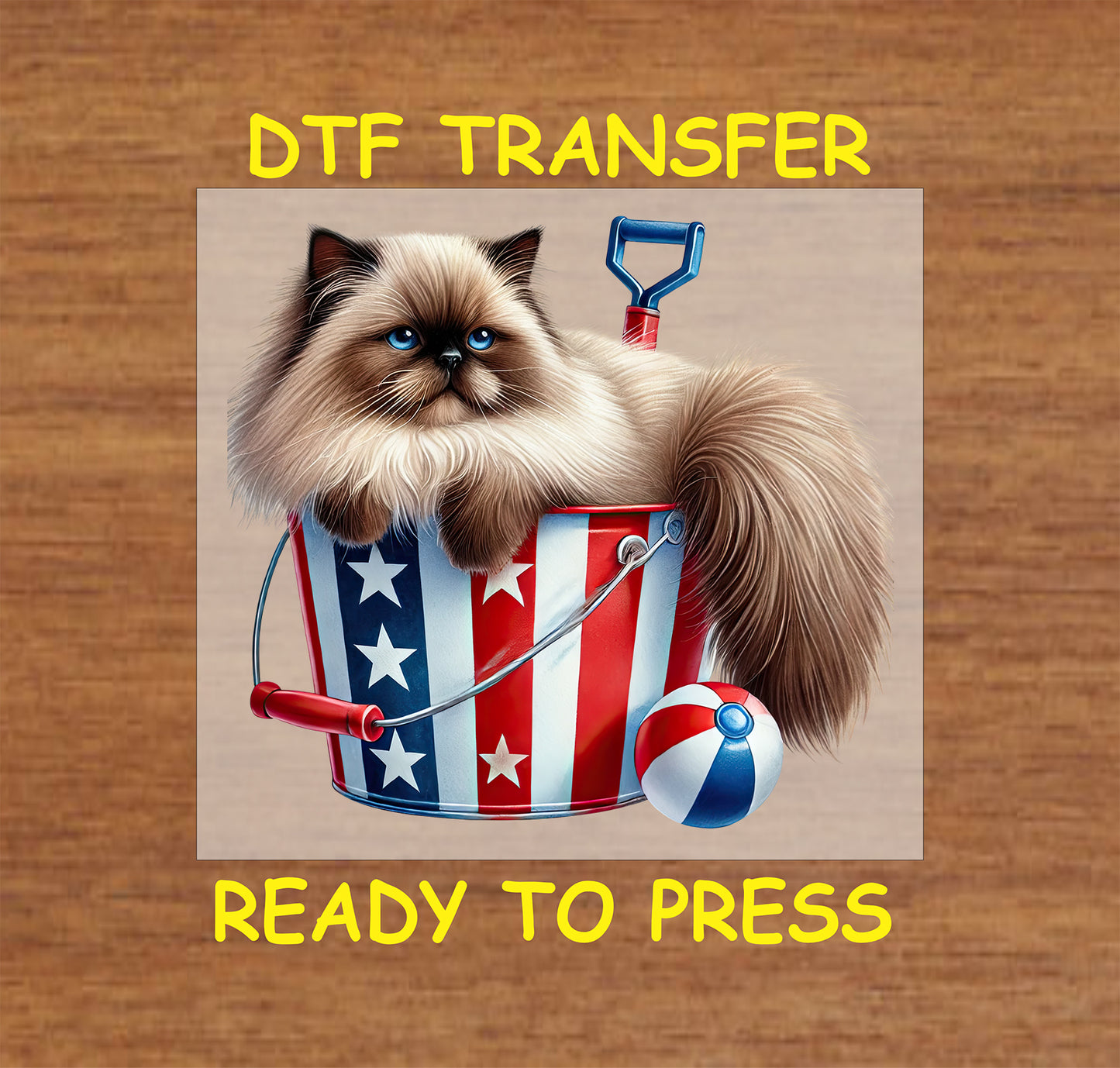 Fluffy cat in patriotic bucket with beach ball and shovel DTF transfer.