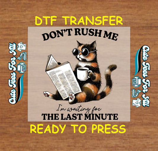 DTF transfer of cat in sunglasses holding coffee and newspaper with funny quote.
