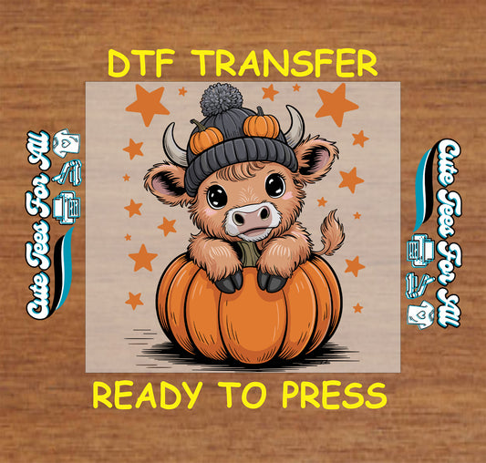 Baby highland cow in pumpkin with beanie and stars, ready to press dtf transfer for DIY shirts


