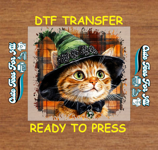 ready to press dtf transfer with orange tabby cat in green witch hat and plaid background for Halloween DIY shirts


