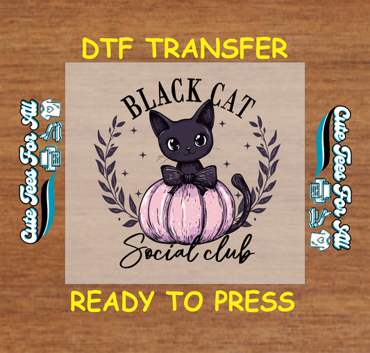 Halloween black cat social club with pink pumpkin ready to press DTF transfer for DIY shirts