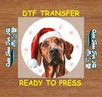 Christmas Hound Dog Santa Hat DTF Transfer – Ready to Press Iron On Heat Transfer for DIY Shirts 12005