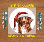 Christmas Brown Dog Santa Hat DTF Transfer – Ready to Press Iron On Heat Transfer for DIY Shirts 12022