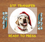 Christmas Labrador Santa Hat DTF Transfer – Ready to Press Iron On Heat Transfer for DIY Shirts 12034