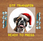 Christmas Boxer Santa Hat DTF Transfer – Round Snowfall Portrait Ready to Press Iron On Heat Transfer for DIY Shirts 12084