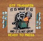 Funny Raccoon DTF Transfer - It Is What It Is Trash Panda Iron On Heat Transfer Decal Ready to Press DTF for DIY Funny Shirts 13417