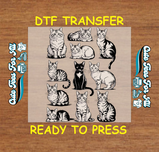 cat grid illustration ready to press dtf transfer featuring multiple kitten drawings in black and neutral tones