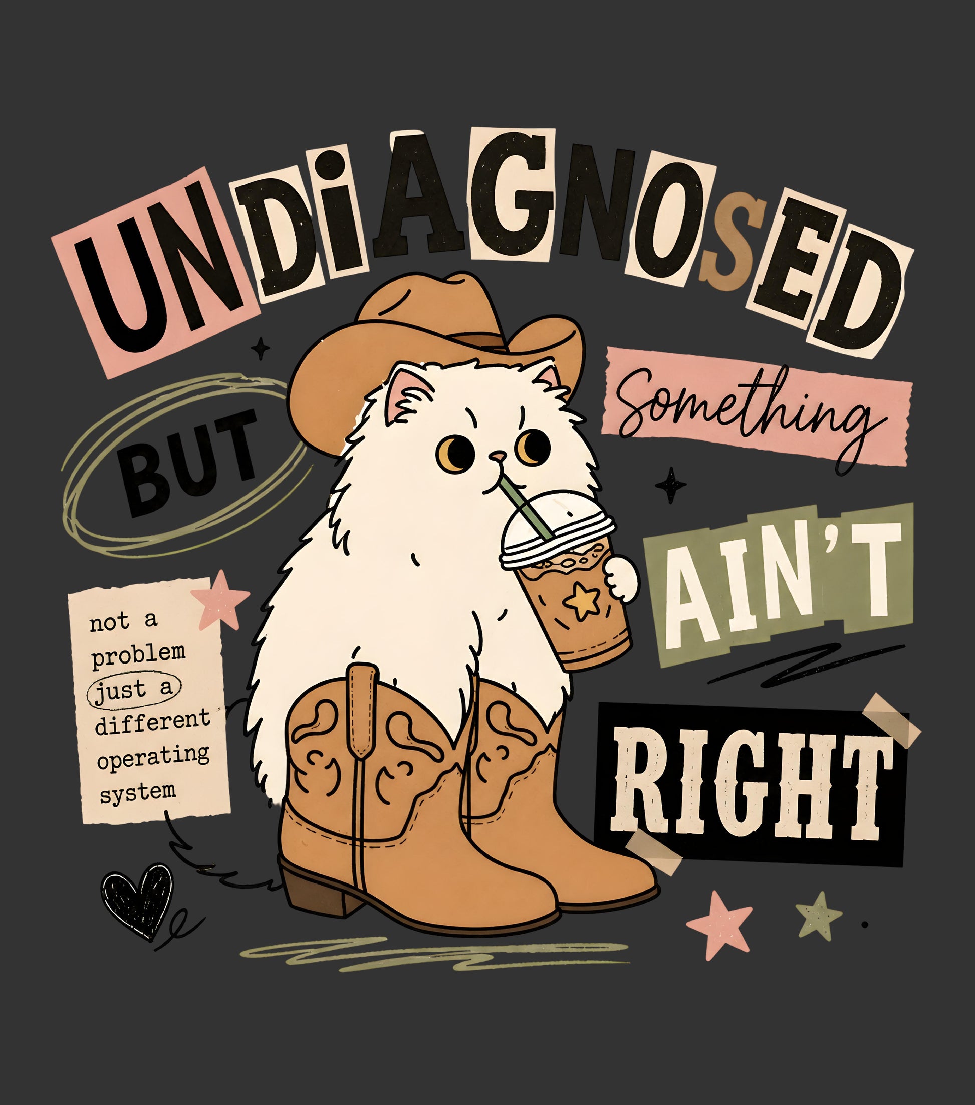 A cartoon illustration of a fluffy white cat wearing a brown cowboy hat and boots while holding an iced coffee, surrounded by humorous western-style text on a dark charcoal background.