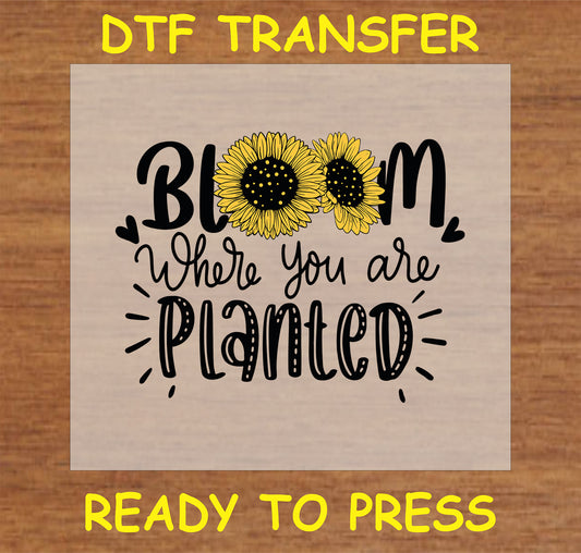 "Bloom Where You Are Planted DTF Transfer with sunflower design for custom inspirational items"