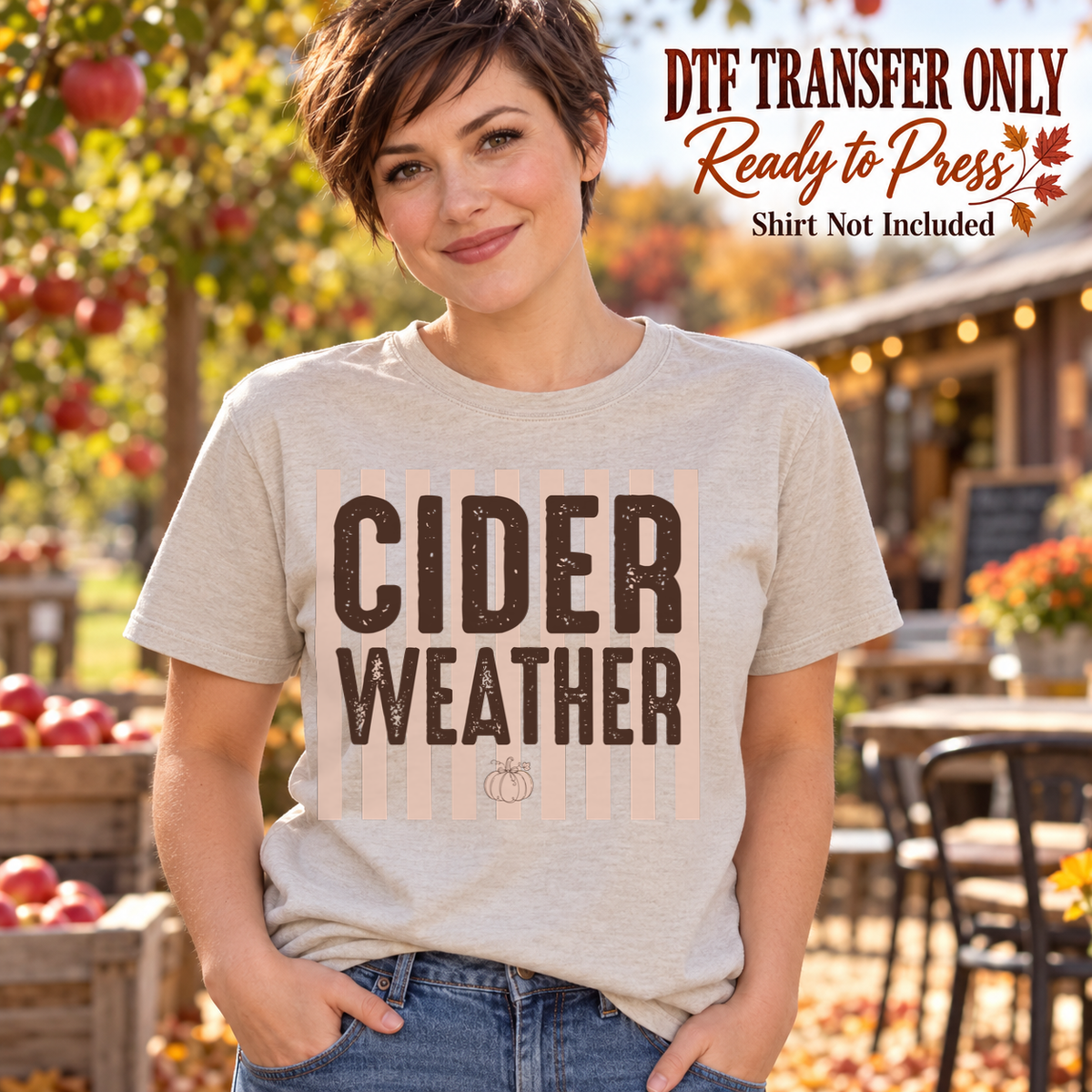 Woman in a light gray tee with brown Cider Weather block lettering over pale pink stripes and a small pumpkin, labeled transfer only.