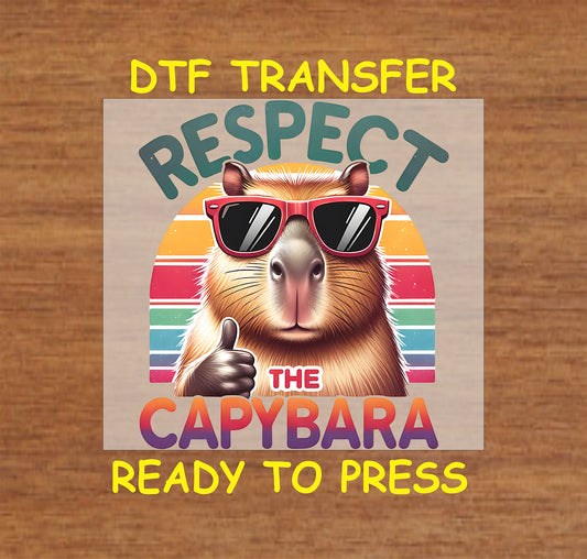 Capybara DTF transfer with sunglasses and a retro rainbow design, perfect for custom apparel.