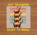 Capybara DTF Transfer Iron On Heat Transfer - Ready to Press, Stack of Capybaras Design 2020