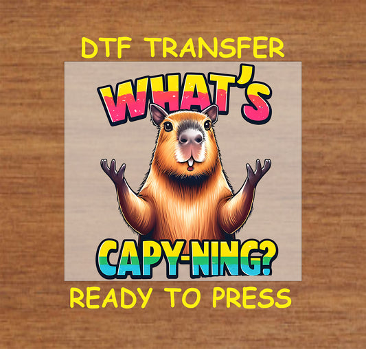 Funny "What's Capy-ning?" DTF transfer featuring a cheerful capybara and vibrant text.