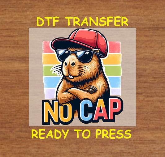 "No Cap" DTF transfer showcasing a capybara in sunglasses with a rainbow background.