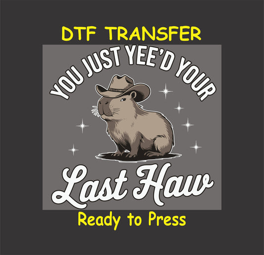 "Capybara wearing a cowboy hat with the text 'You Just Yee’d Your Last Haw,' a funny Western-themed DTF transfer design."
