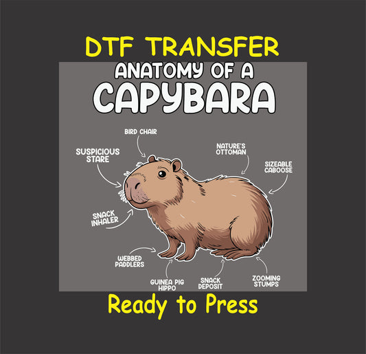 "Anatomy of a Capybara DTF Transfer featuring labeled parts like 'Bird Chair,' 'Snack Deposits,' and 'Suspicious Stare.'"