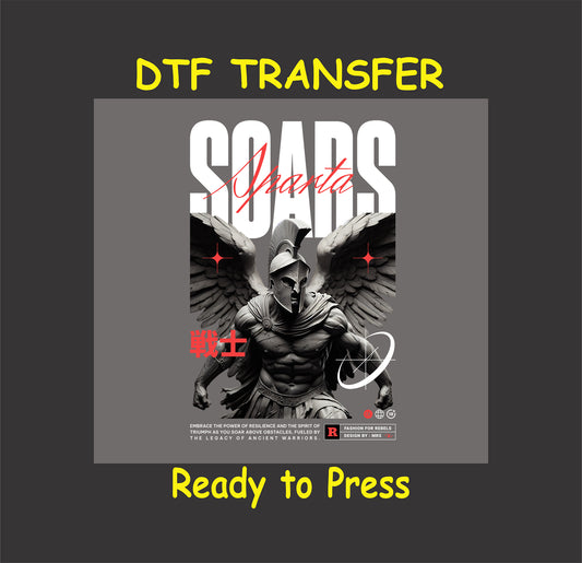 "Spartan Scars DTF Transfer showcasing a Spartan warrior with angelic wings, embodying strength and resilience for custom apparel designs."