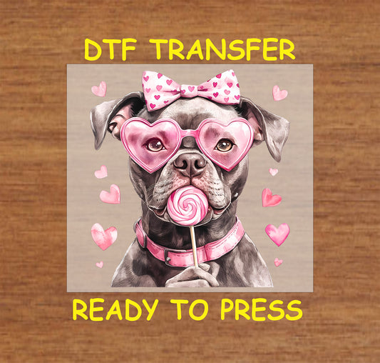 DTF transfer featuring a Gray Pitbull with pink heart-shaped glasses, a polka dot bow, and a lollipop surrounded by heart accents.