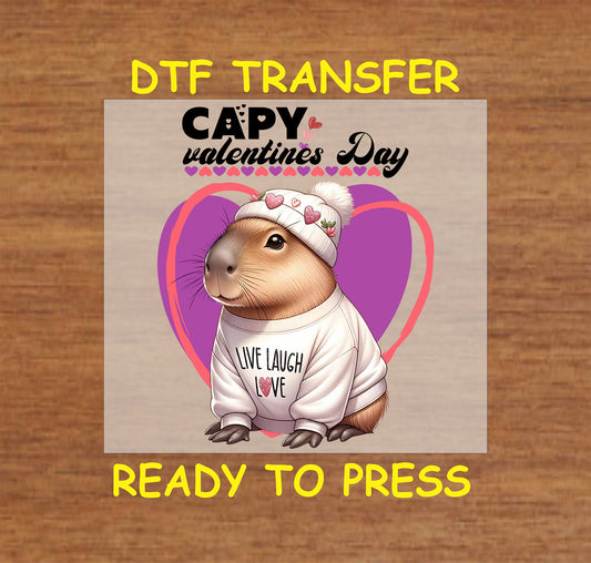 "DTF transfer with a capybara wearing a white 'Live Laugh Love' sweater and heart-decorated beanie, set against a pink Valentine's heart background."