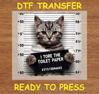 Toilet Paper Mugshot Cat DTF Transfer - Ready to Press 361