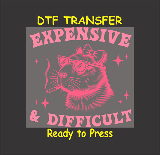 Capybara wearing sunglasses and a bow with "Expensive & Difficult" text in pink.