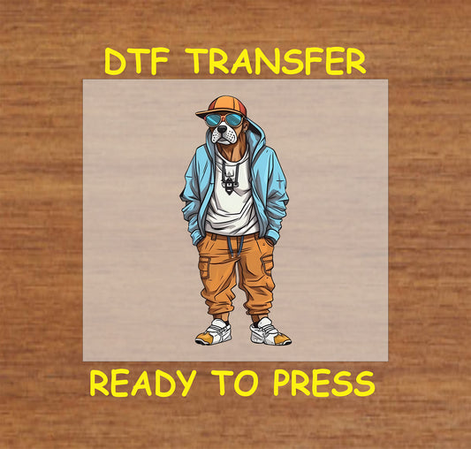 Dog in a blue jacket, orange cap, and sunglasses with an urban streetwear look.