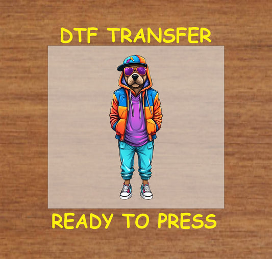 Dog in colorful streetwear with a hoodie, sunglasses, and cap, DTF transfer.