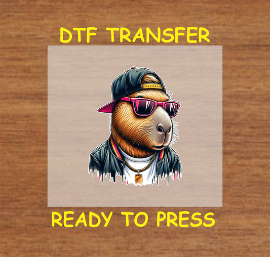 Capybara wearing a backward cap, sunglasses, and a gold chain.