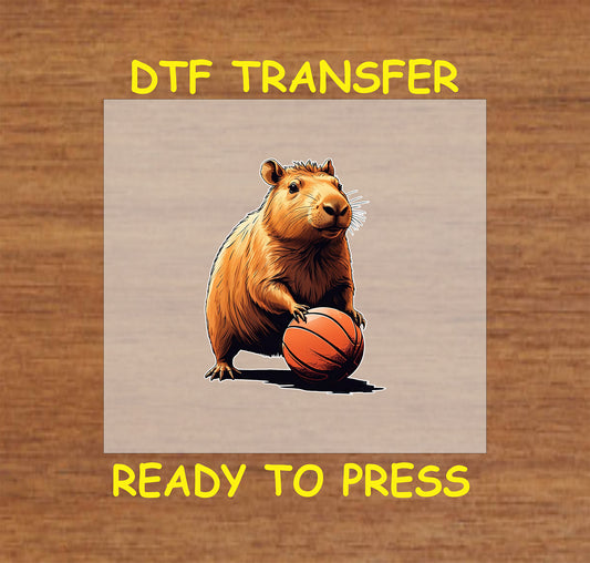 Capybara standing with a basketball, fun sports-themed design.
